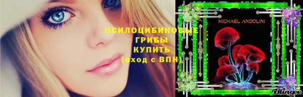 MDMA Новодвинск