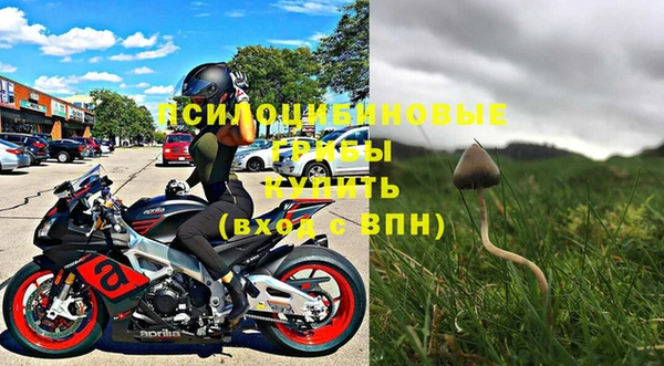 первитин Новозыбков
