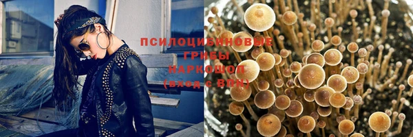 ГАЛЛЮЦИНОГЕННЫЕ ГРИБЫ Бердск