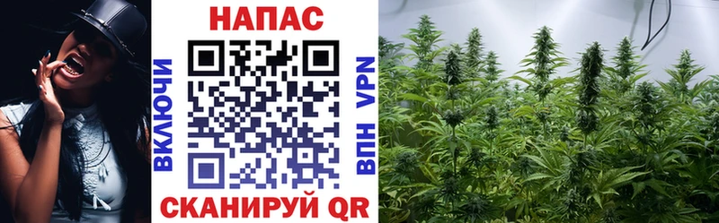 hydra ССЫЛКА  Подпорожье  Бошки марихуана конопля 
